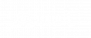 logo mini L