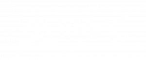 mini s