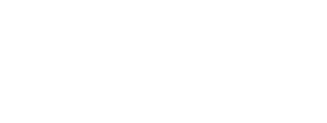 Logo Mini S
